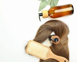 Productos para el cuidado del cabello
