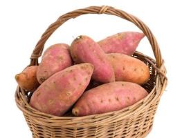 Batata