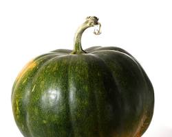 Calabaza