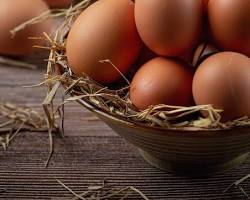 Huevos