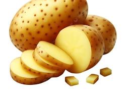 Papas