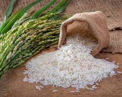 Imagen de arroz