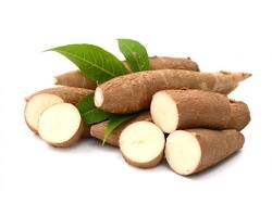 Imagen de yuca
