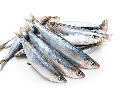 Pescado