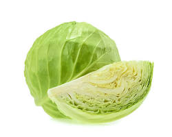 Repollo
