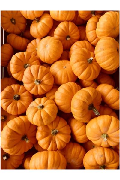 Recetas con Calabaza
