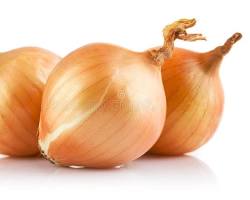 Cebolla