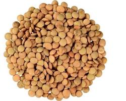 Recetas saludables con lentejas mexicanas