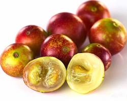 Imagen de camu camu