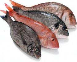 Imagen de pescado