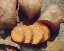 Imagen de Batata